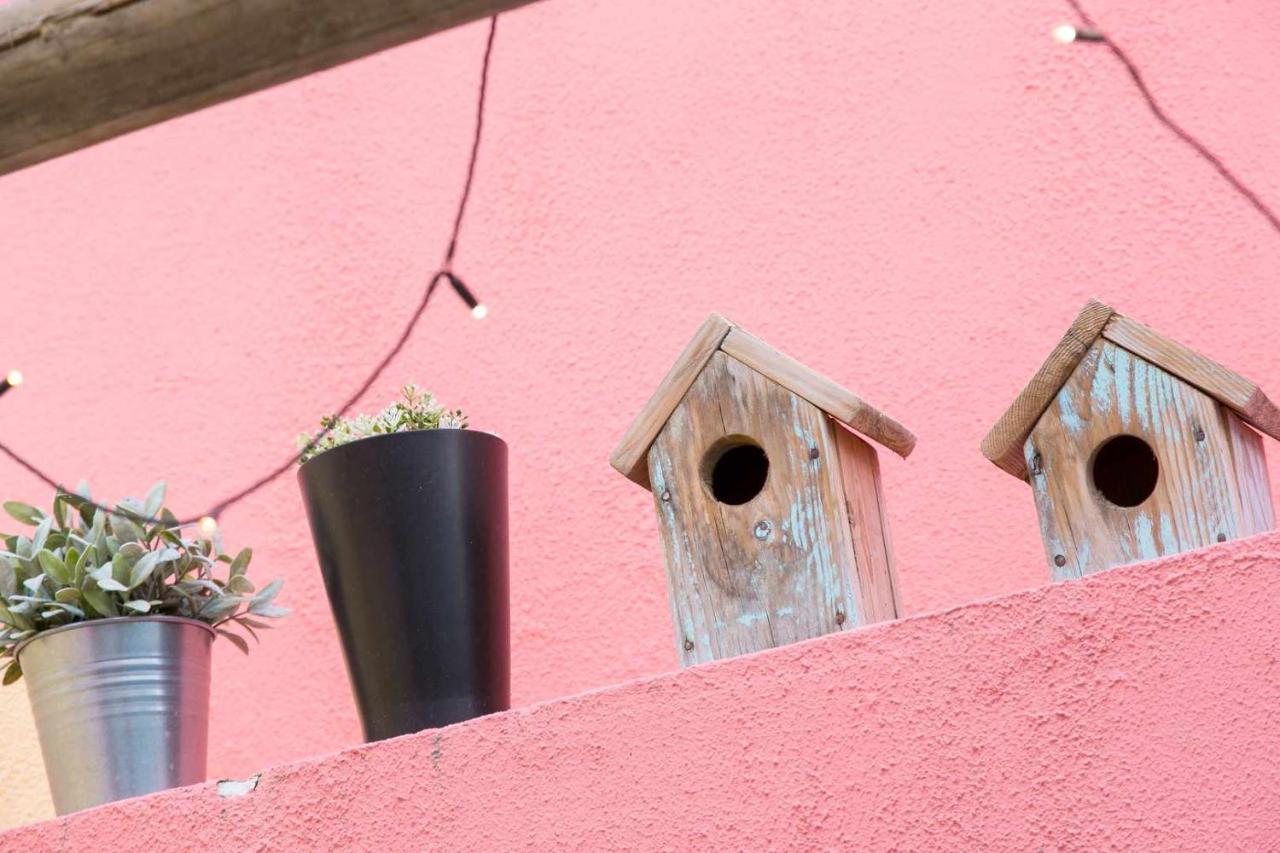 Charming With Terrace St Amaro Appartement